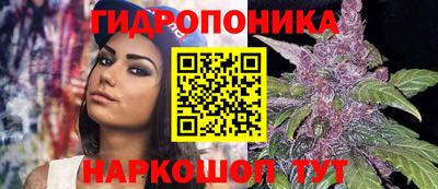 СК Краснодар