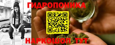 СК Краснодар
